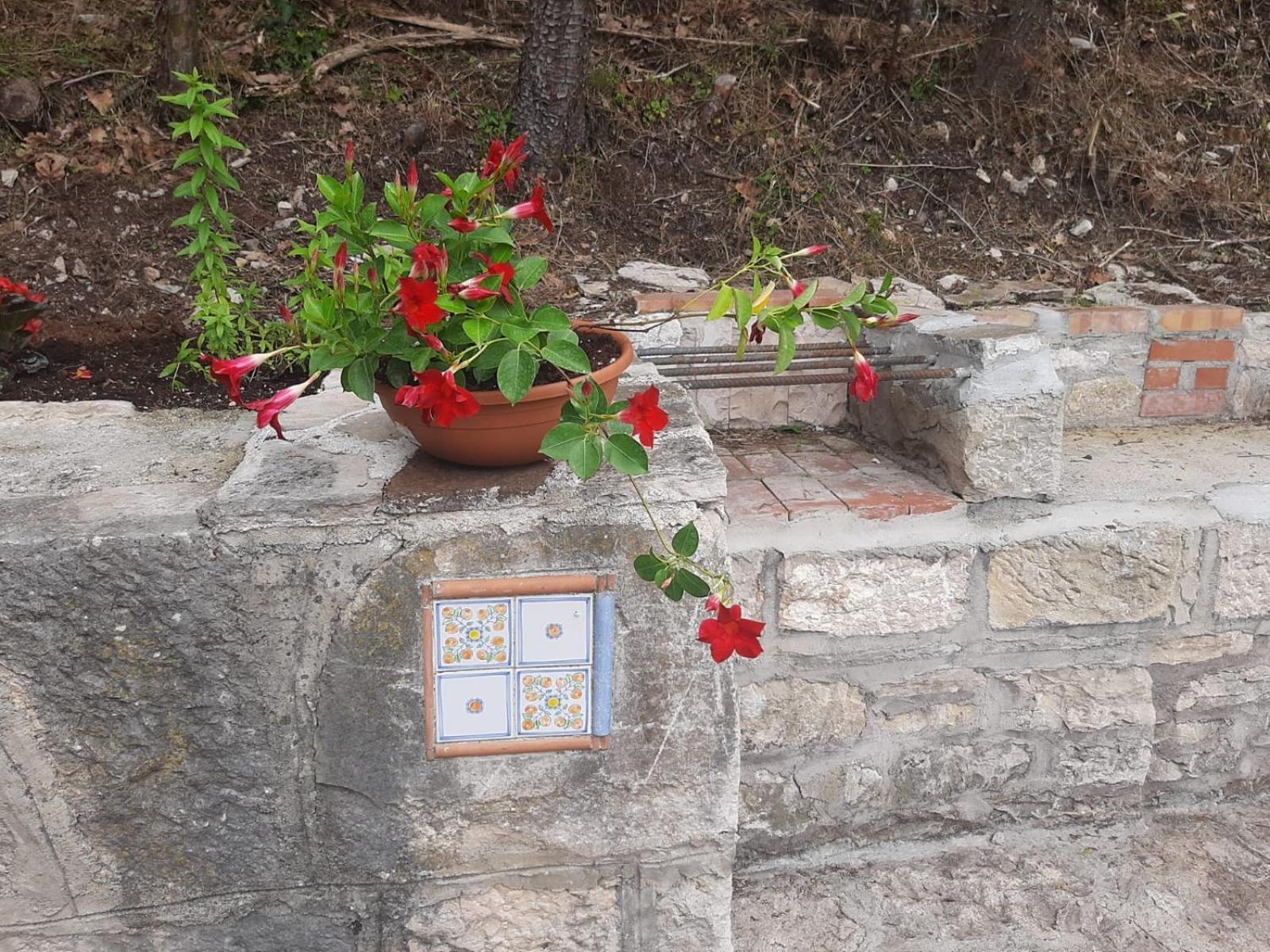 Il Caminetto Appartement Carpinone Buitenkant foto